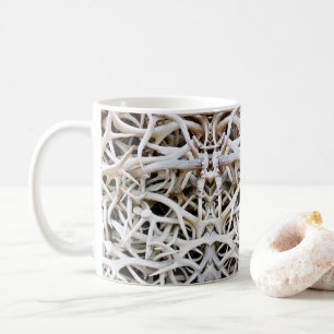 Mugg Elk Antler