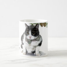 Mugg: Felix katten som campar i Augusti