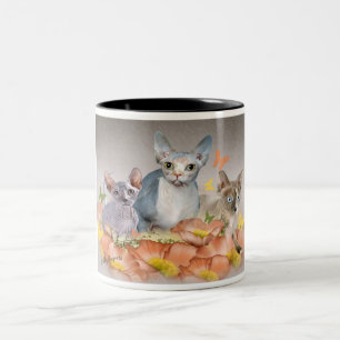 mugg för 3 sphynxkattungar