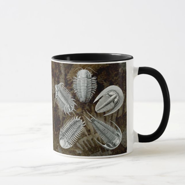 Mugg för 5 Trilobites (Höger)