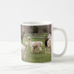 Mugg för AlpacaMelange~