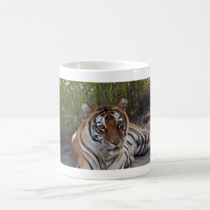 Mugg för Bengal tiger 003