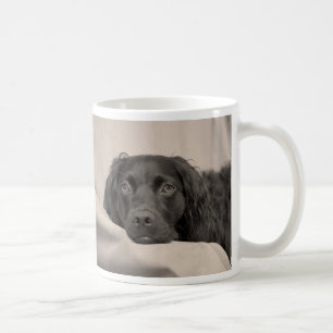 Mugg för Boykin Spanielkaffe