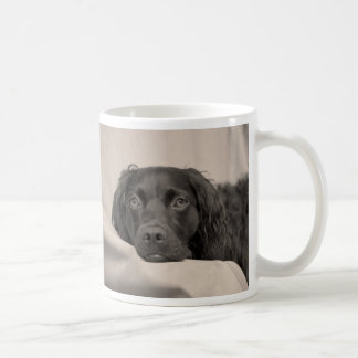 Mugg för Boykin Spanielkaffe