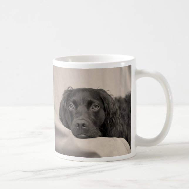 Mugg för Boykin Spanielkaffe (Höger)