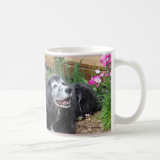Mugg för cockerspanielSpanielmuffin (Höger)