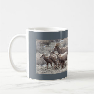 Mugg för foto för ökenBighorn får