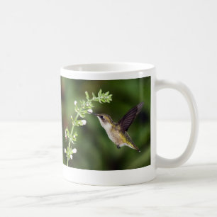 Mugg för Hummingbird 10