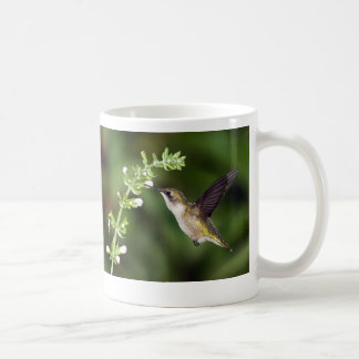 Mugg för Hummingbird 10