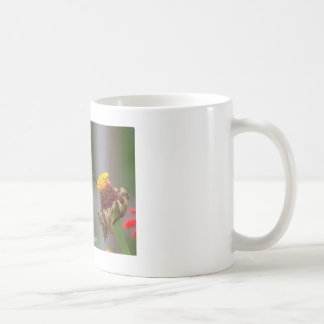 Mugg för Hummingbirdklassikervit