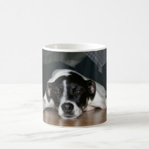 Mugg för hund "för Molli" råttaTerrier