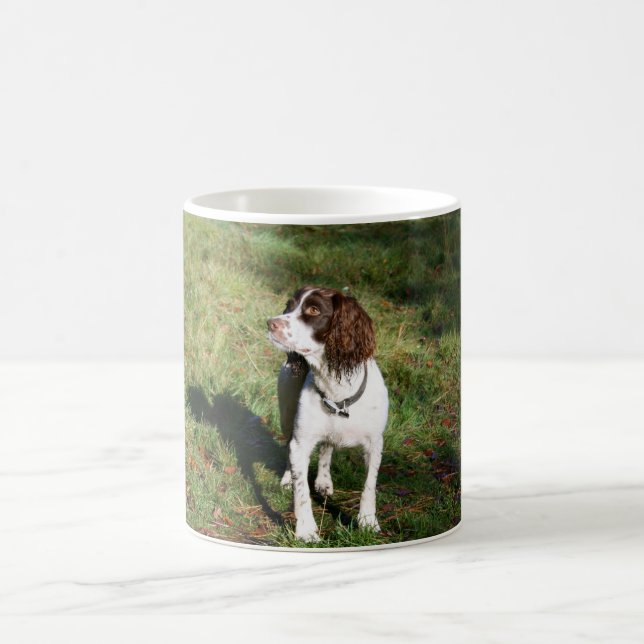 Mugg för hund för SpringerSpaniel (Center)