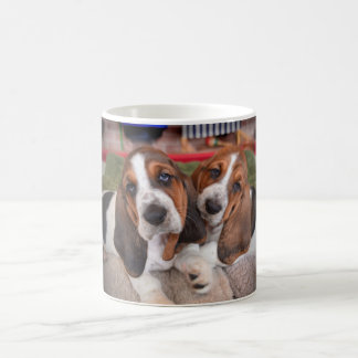 Mugg för kaffe för Bassethundvalpar