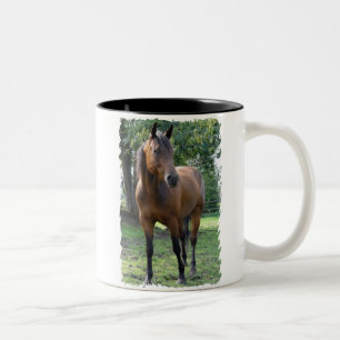 Mugg för kaffe för fjärdThoroughbredhäst