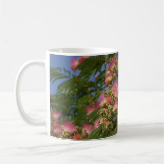 Mugg för kaffe för Mimosaträdfoto