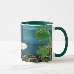 Mugg för kattsvan~