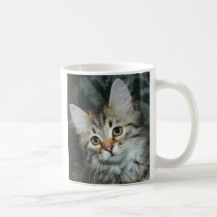 Mugg för kattunge 2
