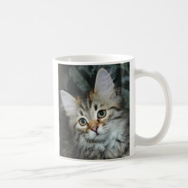 Mugg för kattunge 2 (Höger)