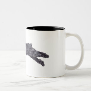 Mugg för konst för hund för Bouvier des Flandre