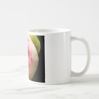 Mugg för lotusblommablommakaffe