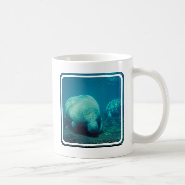Mugg för Manateefotokaffe (Höger)