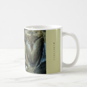 Mugg för Megalodon fossil- hajtänder