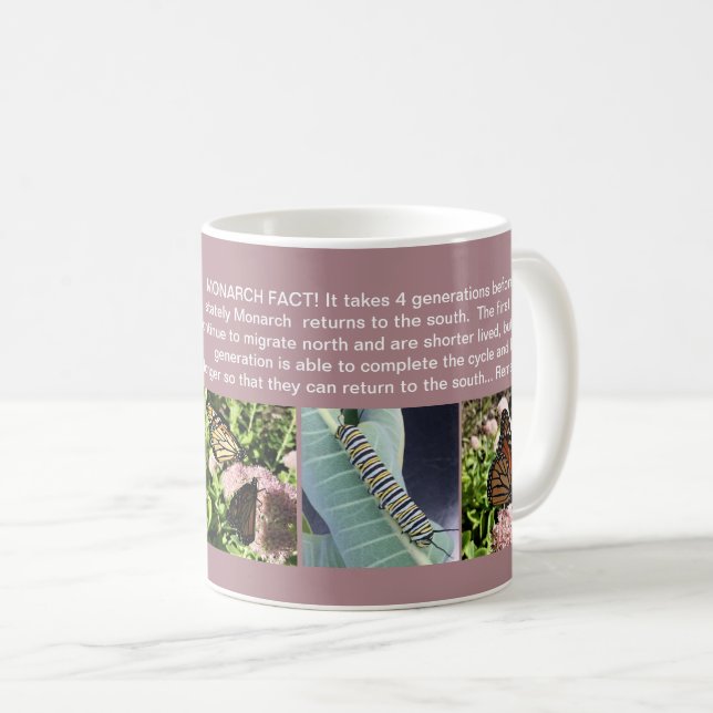 MUGG FÖR MONARKFJÄRILSFAKTUM (Framsida höger)
