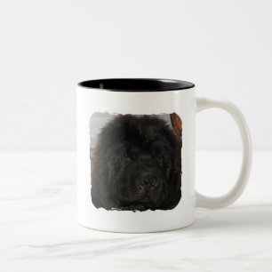 Mugg för Newfoundland hundkaffe