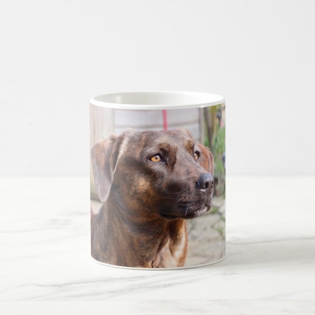 Mugg för Nowzad Rscue hundBrin kaffe (Center)