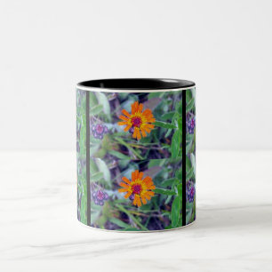 Mugg för orange Hawkweed 1