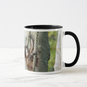Mugg för Orangutan #1/Ringer