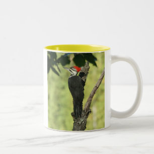 Mugg för Pileated hackspettkaffe
