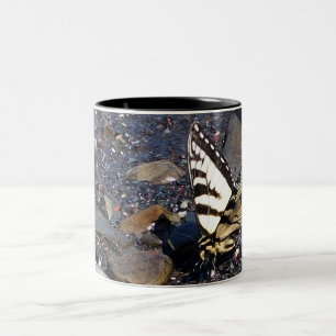 Mugg för tigerSwallowtail fjäril 1
