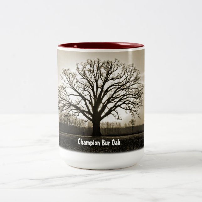 Mugg för träd för mästareBur-Oak (Center)