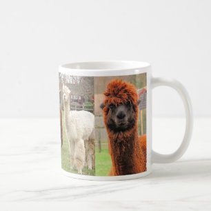 ~-mugg för tre Alpacas Kaffemugg