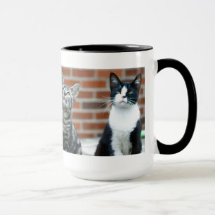Mugg för två katter