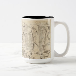 Mugg för vintagemänniskaanatomi