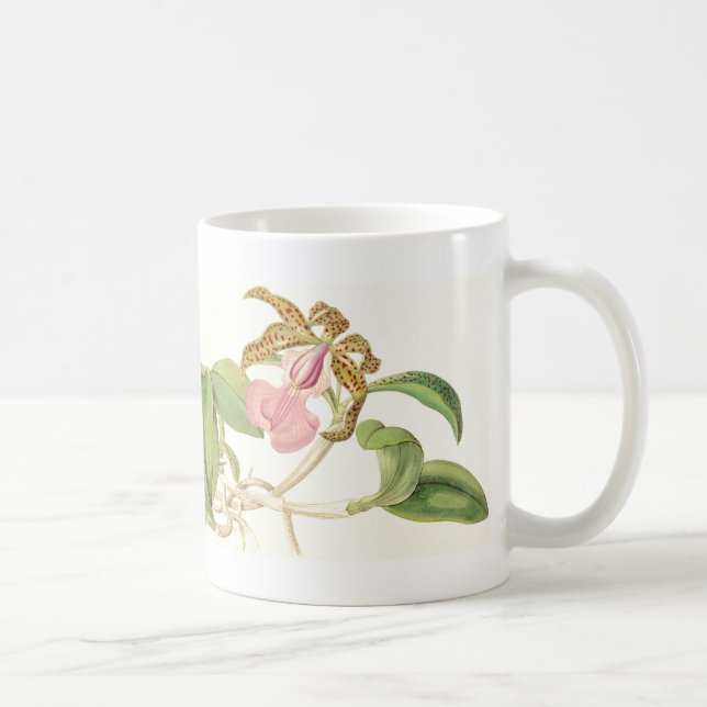Mugg för vintageOrchidblommor (Höger)