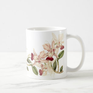 Mugg för vintageOrchidblommor