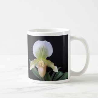 Mugg för vithäftklammermatareOrchid