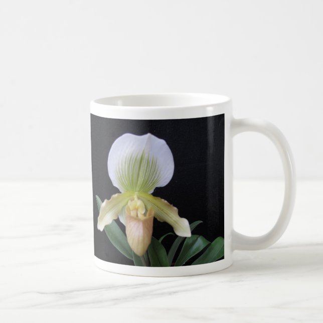 Mugg för vithäftklammermatareOrchid (Höger)
