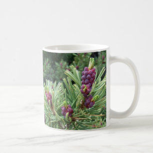 Mugg för Whitebark gräskotte