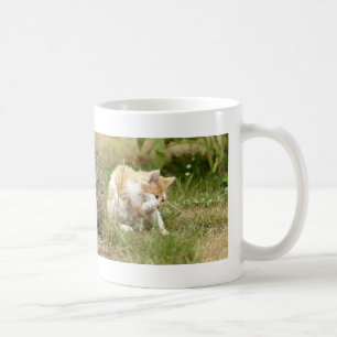 Mugg. Fotogatekatt, katt. kaffe mugg