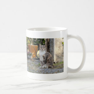 Mugg. Fotogatukatt, katt, kaffe mugg