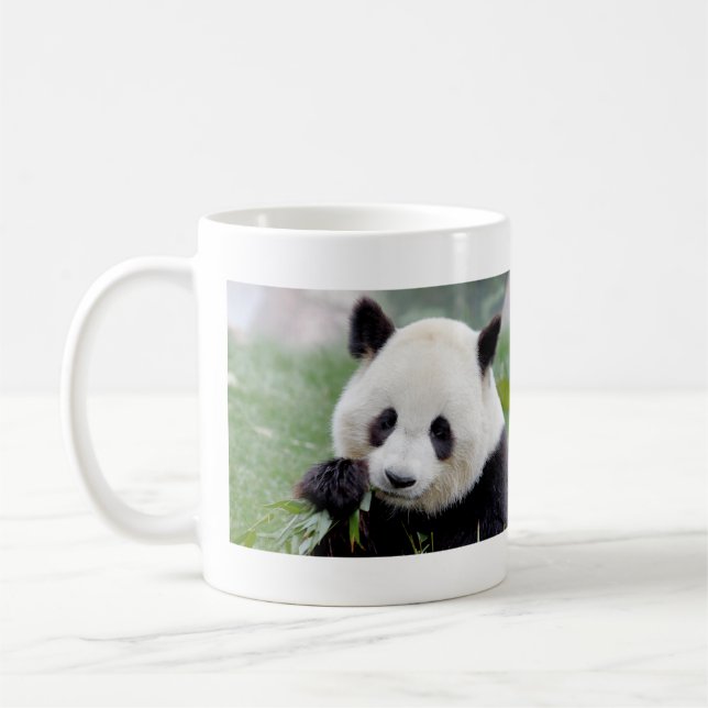 Mugg fotojättepanda. Pandasamfunn. (Vänster)