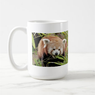 Mugg fotoröd panda. Panda roux djur.