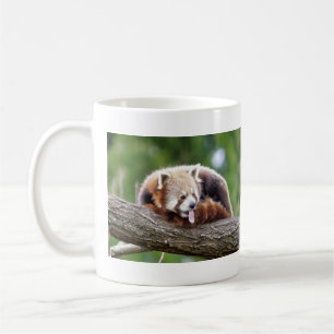 Mugg fotoröd panda. Panda roux djur.