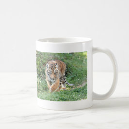 Mugg. fototiger, katt, kaffe mugg
