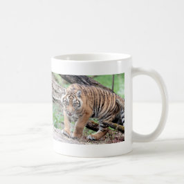 Mugg, fototiger, katt. kaffemugg