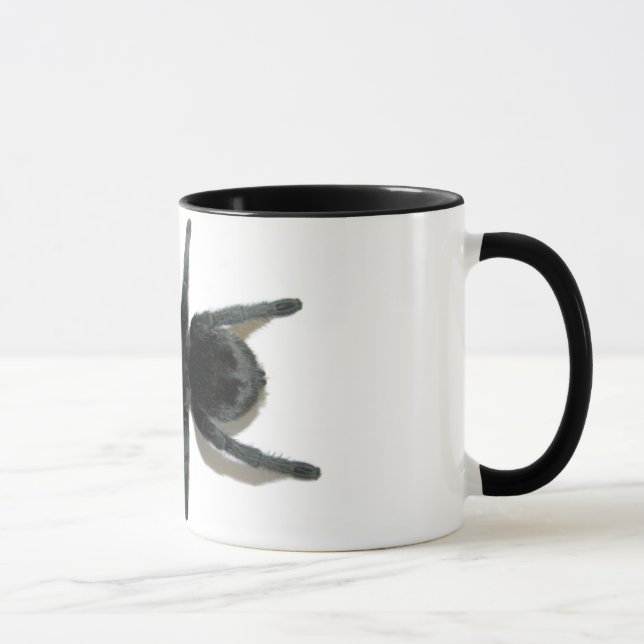 Mugg - Grammostola pulchra (brasiliansvarten) (Höger)